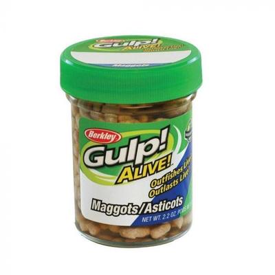 GULP! ALIVE! MAGGOTS WHITE GAJMG-WH